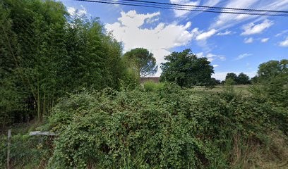 Guepin Charlie, Magasin d'Antiquités à Ruaudin