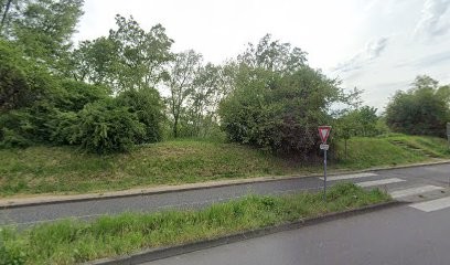 Antique Des Gônes, Magasin d'Antiquités à Villeurbanne