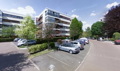 Antiquités Julien Lachaux, Magasin d'Antiquités au Chesnay