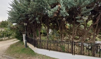 Drieux Pascale, Magasin d'Antiquités à Janvry