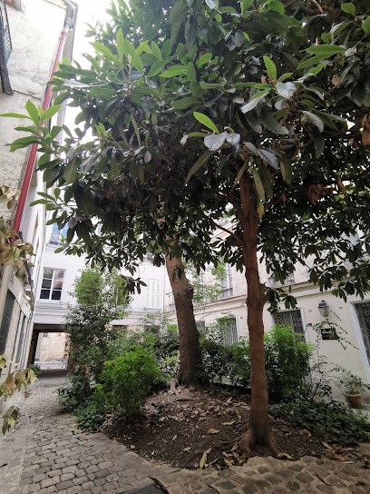 Galerie 1492, Magasin d'Antiquités à Paris 06