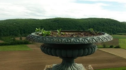 Antiquités Brocante du Murier, Magasin d'Antiquités à Angoulême