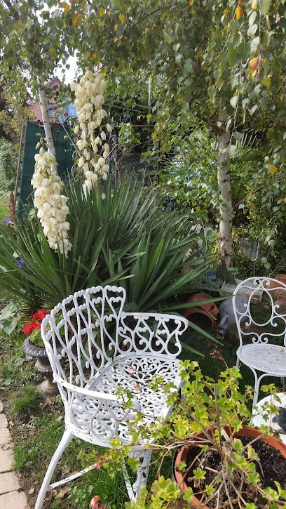 Bignet Constant, Magasin d'Antiquités à Kaltenhouse