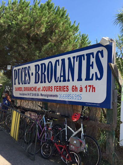 Auchineur.fr - Votre Brocante En Ligne, Magasin De Seconde Main à Sérignan