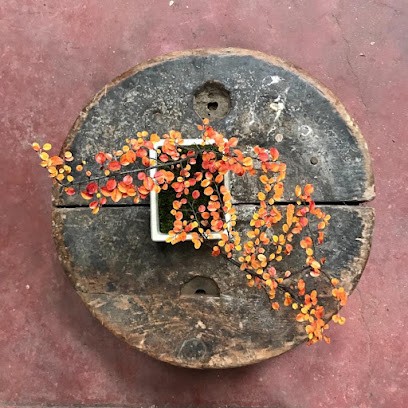 Eric Bienaimé, Magasin d'Antiquités à Hazebrouck