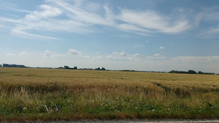 Mondes-antiques.com, Magasin d'Antiquités à Oye-Plage