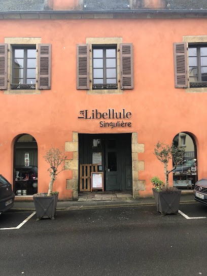 La Libellule Singulière - Brocante - Atelier Broderie - Espace Créateurs, Magasin d'Antiquités à Audierne