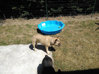 Ehrhardt Gustave, Magasin d'Antiquités à Monthou-sur-Bièvre