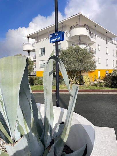 Dechamps David, Magasin d'Antiquités à Royan