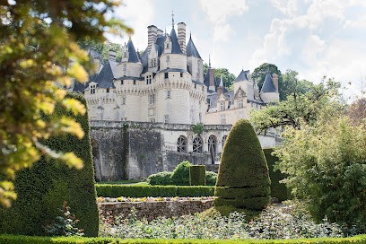 Rigny Ussé antiquités brocante, Magasin d'Antiquités à Rigny-Ussé