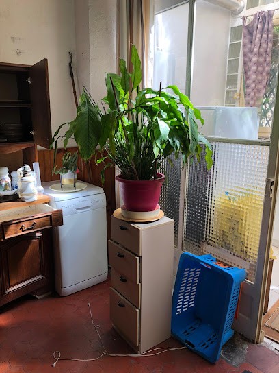 Debarras Cagnes Sur Mer, Magasin d'Antiquités à Cagnes-sur-Mer