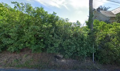 Brocante MOVINGPAWNSHOP, Magasin d'Antiquités à Ussac