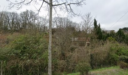 Vigneux Pascal, Magasin d'Antiquités au Blanc