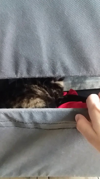 Le Bigot Meena, Magasin d'Antiquités à Rostrenen