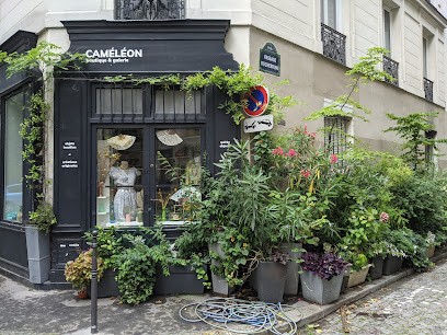 Caméléon Boutique & Galerie, Magasin d'Antiquités à Paris 11