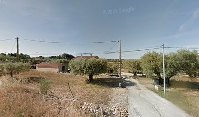 Oddone Vernale Nathalie, Magasin d'Antiquités à Sanary-sur-Mer