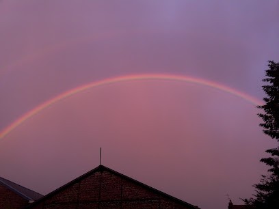 Faillie Michel, Magasin d'Antiquités à Hazebrouck