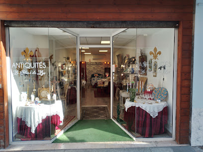 La Fleur De Lys Magasin D'antiquités à Lourdes
