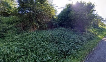 Antiquités brocante les greniers de st georges, Magasin d'Antiquités à Saint-Georges-d'Aurac