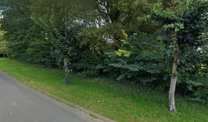 Jouvenet Dominique, Magasin d'Antiquités à Any-Martin-Rieux