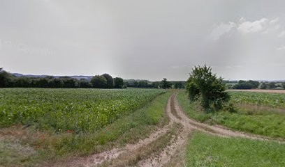 Ferry Pierron Florence, Magasin d'Antiquités à Villeneuve-sous-Charigny