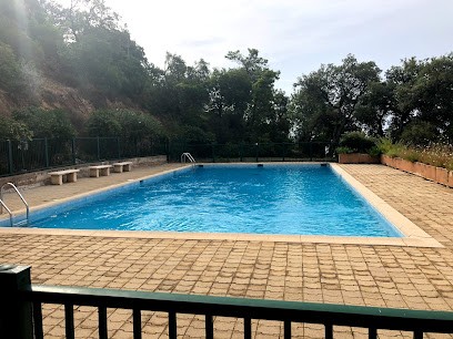 Dumez Fassetti Arianne Madeleine, Magasin d'Antiquités à La Croix-Valmer