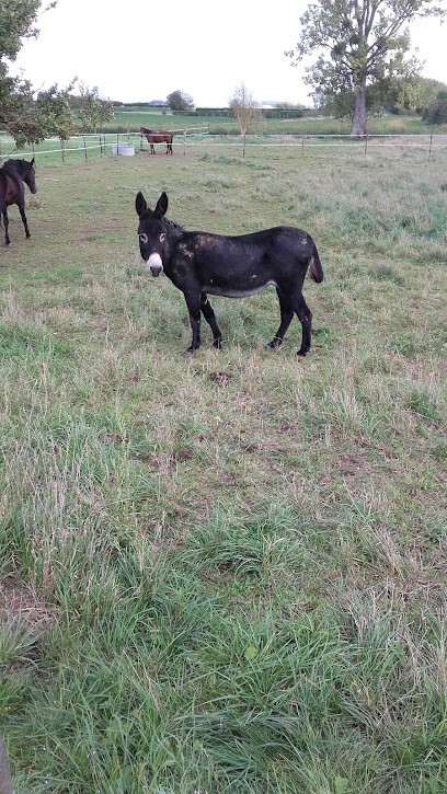 Pétain Pascal, Magasin d'Antiquités à Ribemont