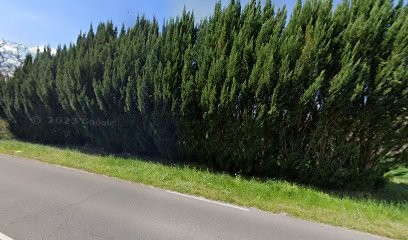 Rodier Fernando, Magasin d'Antiquités à Bellerive-sur-Allier