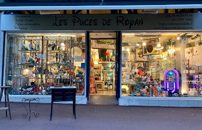 Les Puces De Royan, Magasin d'Antiquités à Royan