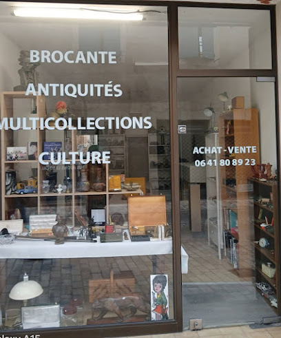 Brocante Multicollections Antiquites Culture Librairie D'occasion Disques Militaria Antiquaire Et Brocanteur Magasin D'antiquités à Castres