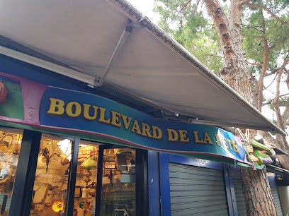 Braïda Nicole, Magasin d'Antiquités à Nice