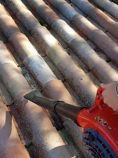 Debard David, Magasin d'Antiquités à Saint-Sulpice-la-Pointe